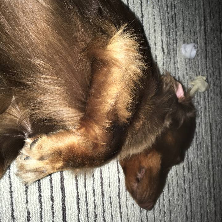 A81dc867 3923 436a bc8b 81aa7d8183ec