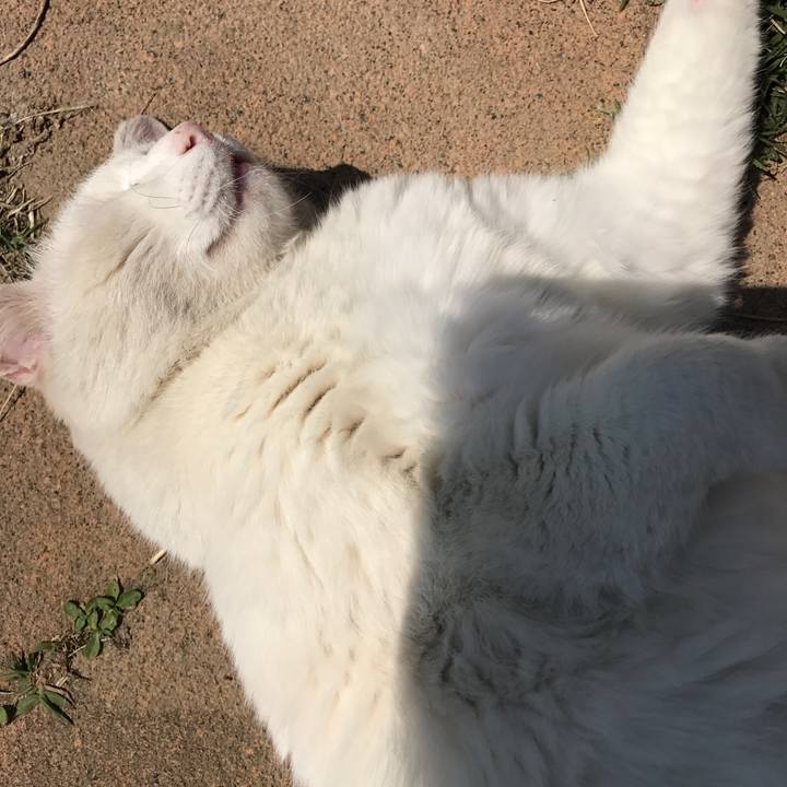 A81df28a 5f21 4db6 bc92 5e8ebc009583