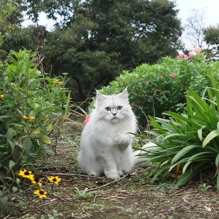 A81e1e41 71b0 4f51 b628 d61fe171c967