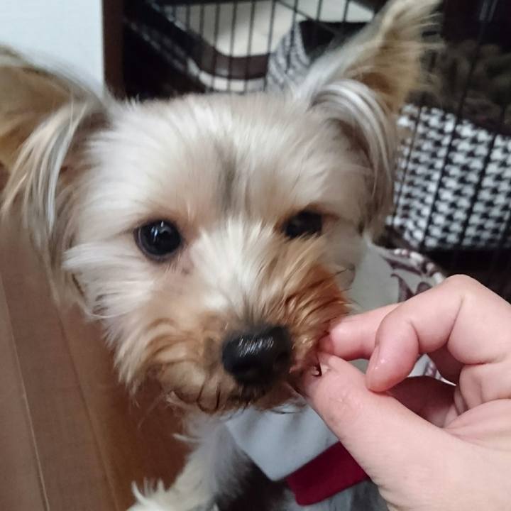 A81f5f34 0ca0 4cd2 8bf3 cfa80d6e10d9