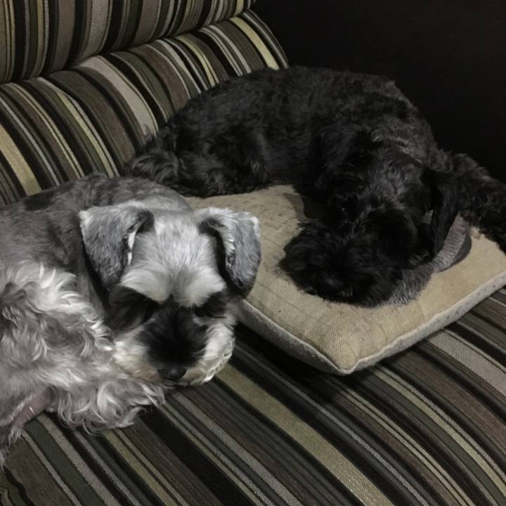 A81fce85 362e 4724 ade1 e5b9b2b6831e