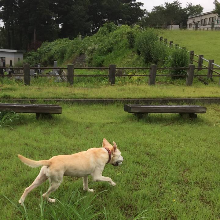 A8201433 0e97 4a89 8c1d 951049669937