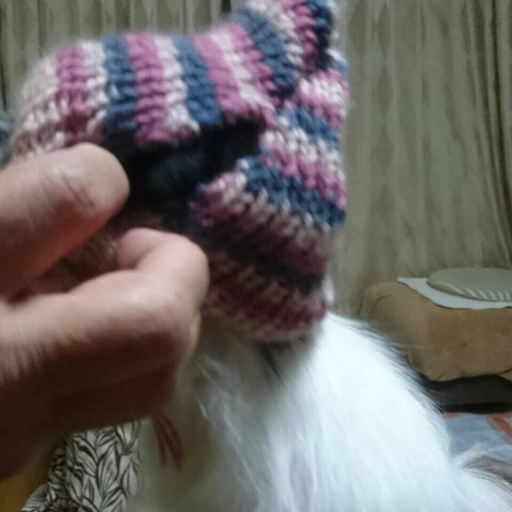 A8203a59 e200 4b25 bcd5 1583cda25d31