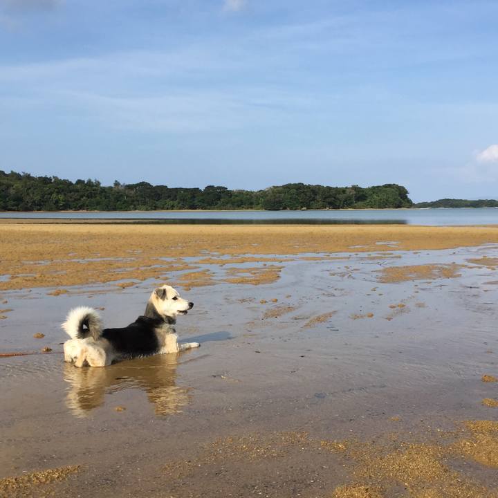 A820cc7b d616 4a07 8e76 eee07470b6ed