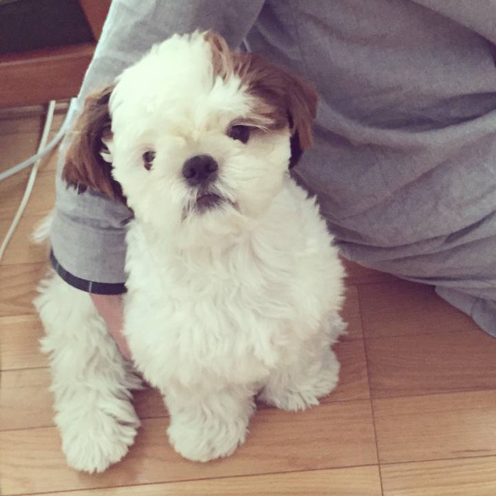 A8210146 c72f 4b75 bc72 2535dddda7cb