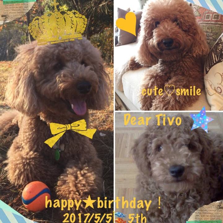 A821e3f0 23f1 41a6 ab94 4c36142e1f6b