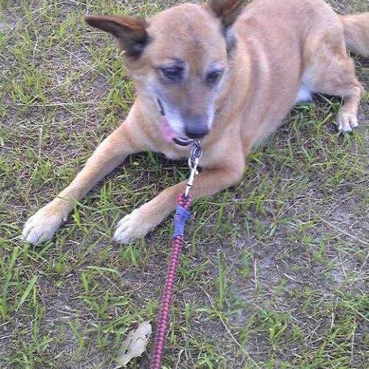 A821e4a0 c3a3 49b9 976f 613ab8510402