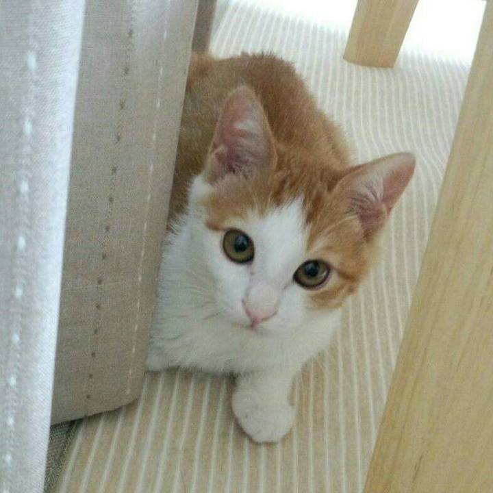 A8234979 3195 4ce3 bfc3 e44bc24eb42e