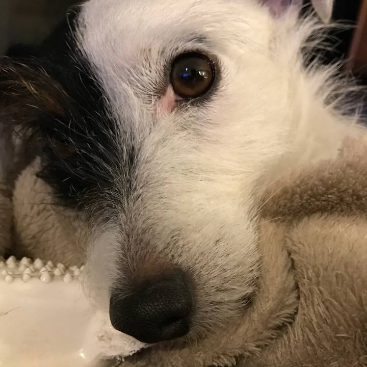 A823ae49 1ab5 4a43 a138 b9f80c20bae7