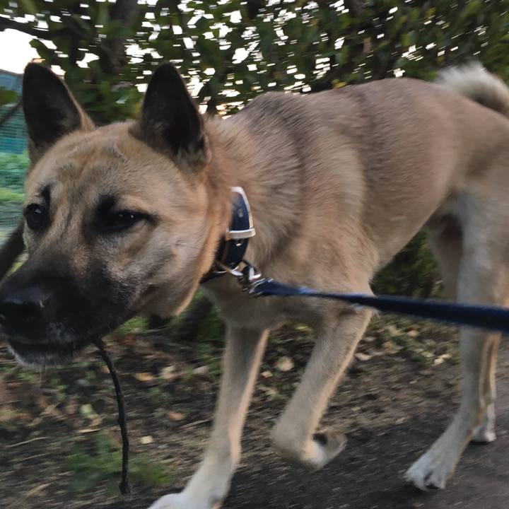 A823e455 9e1b 4282 81de 5f9f9b3ebfc7