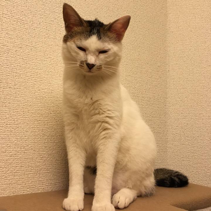 A823ee21 83d6 4758 b28f c3f4b1be904c