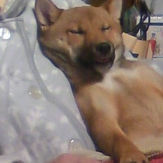 A8241c4a 219b 4669 a238 c1befb699e1c