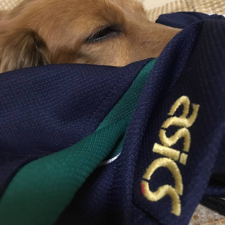 A8255fc5 4290 4fb7 868f d66d8a086166