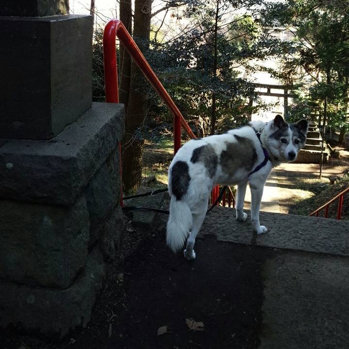 A825c98e 9454 4798 a3ff 2df9a0955087