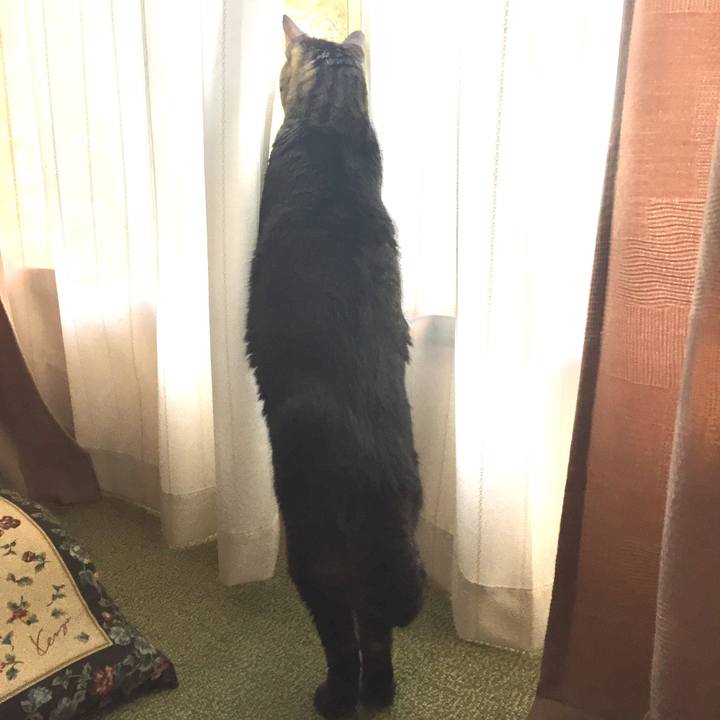 A825cfa2 f8f3 429f 8b06 371af11344a8