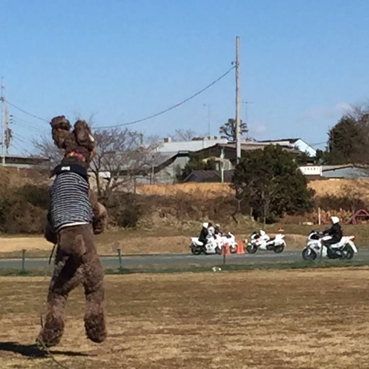 A8260458 8385 451d 8a1c 852ac0f45519