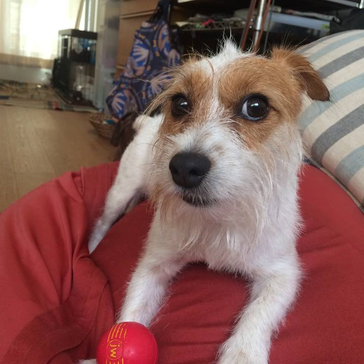 A826c186 6a00 49e4 952a e2007b8f1000