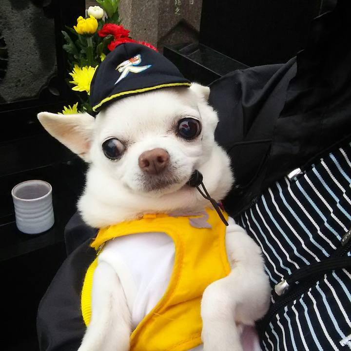 A826dcb5 e42c 4e79 82d1 ac6883118f55