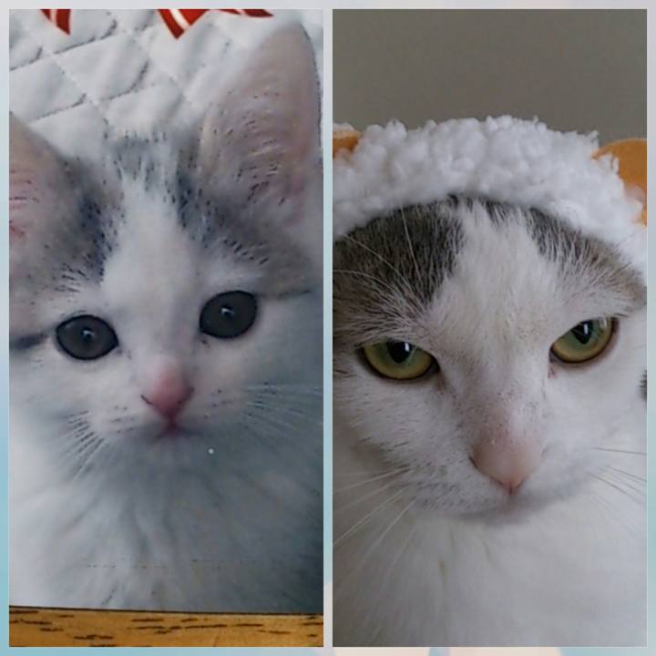 A829167d 3ee2 415d b3d2 ce422153d785