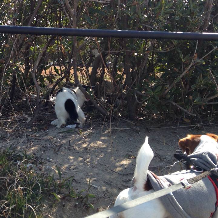 A8292e56 cd36 4014 88b2 8592827f41c0