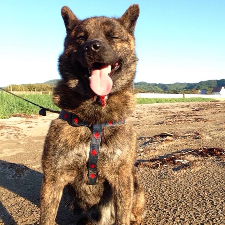 A8299a9c 43c3 4082 9343 696dec619593