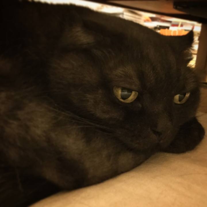 A82b0ea4 b833 4a45 8d2c 4eed0ab301aa