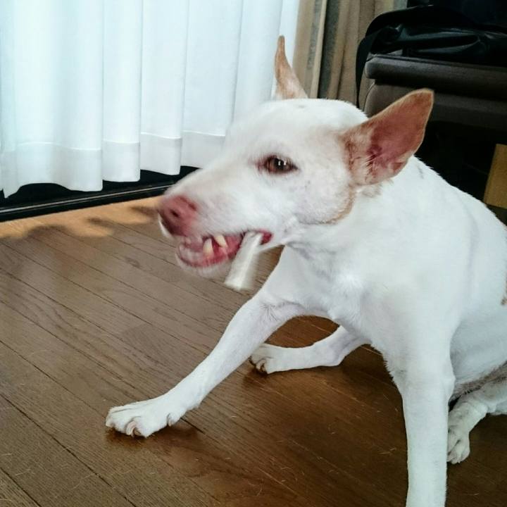 A82c67fa 76f5 4cc1 b53c b5726253b3d1