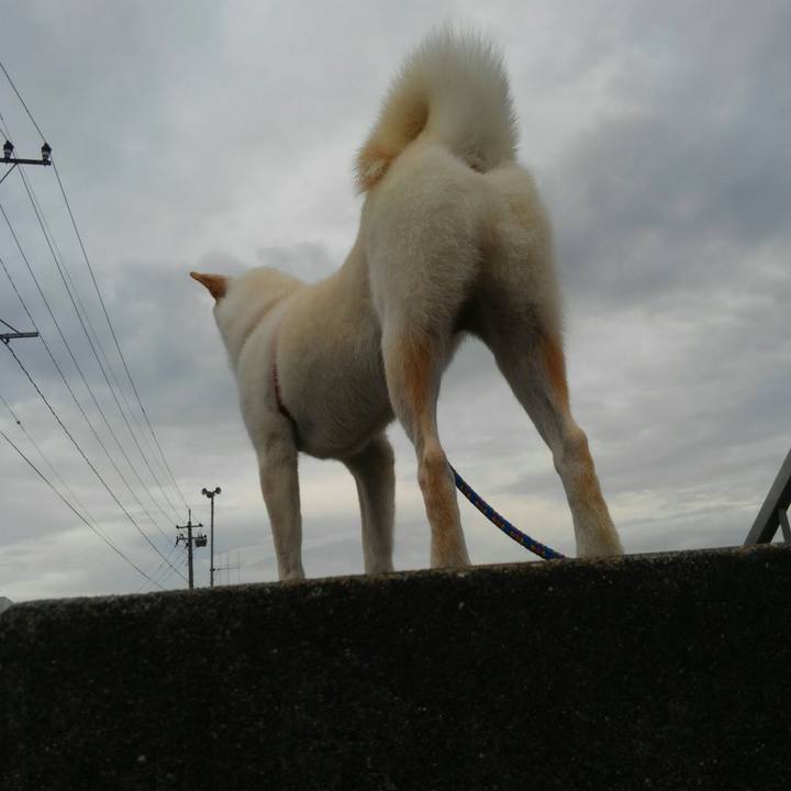 A82d9415 2123 424d 8834 b50a71e3495b