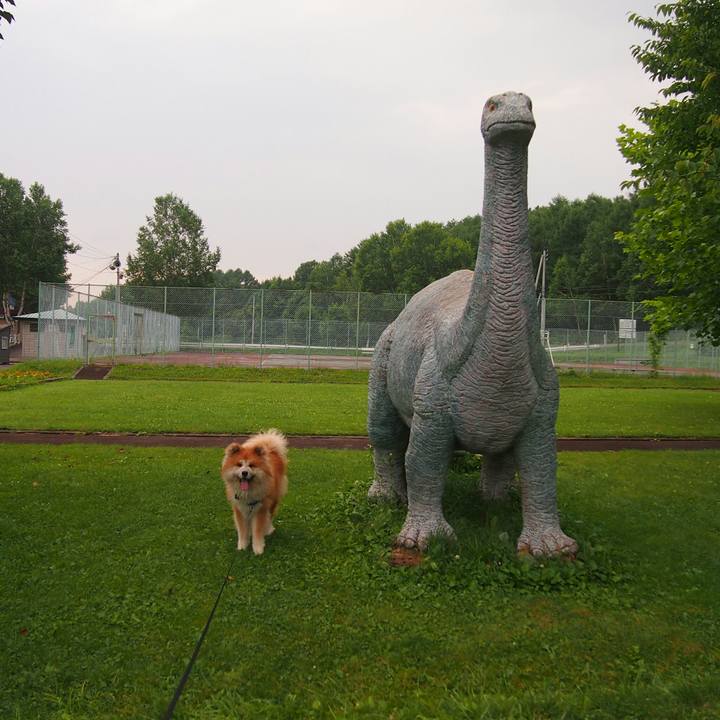 A82ee3e0 7734 4433 97ef 69f26c62ad77