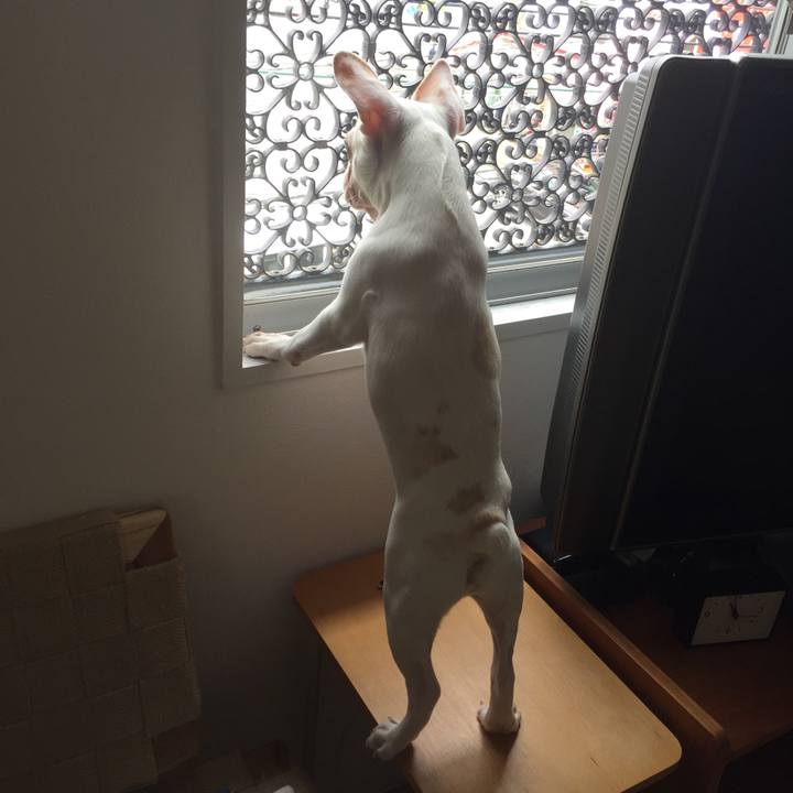 A82ff007 455d 4bcd 8889 221b60172d55