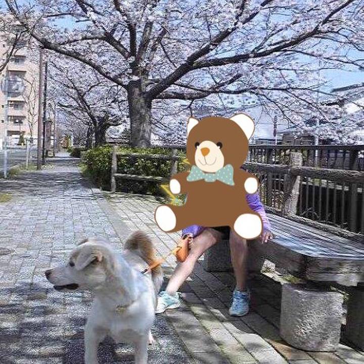 A83093da 31b7 46fe b87b 389c005d4e2c