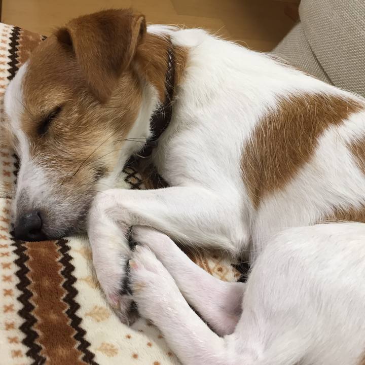 A830c21d 0f4b 4895 8d5a 3f481aba66ad