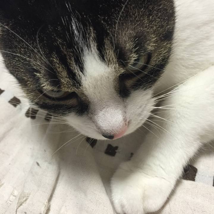 A8326a24 fec1 4316 932d 43c9ee76c1c9