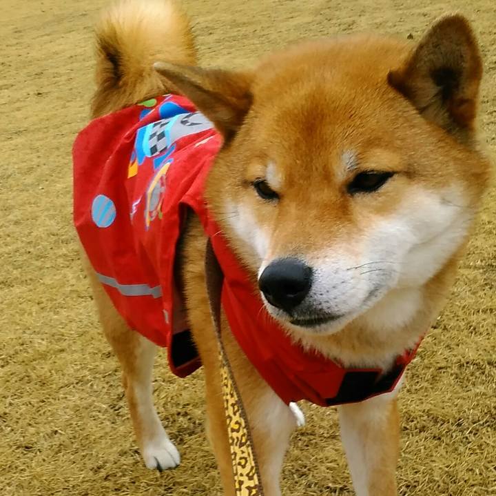 A832fe6f 5816 4825 81f6 4ba84dedf173