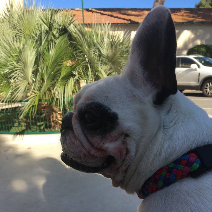 A833f587 f351 4343 a686 05b7b4c788f4