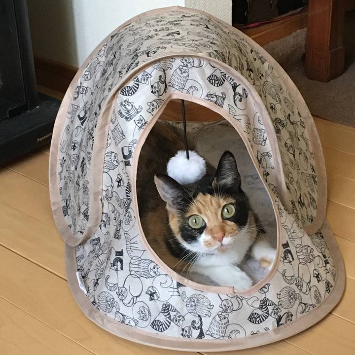 A8341c38 8870 442f 999d 3d05d4e6fd06