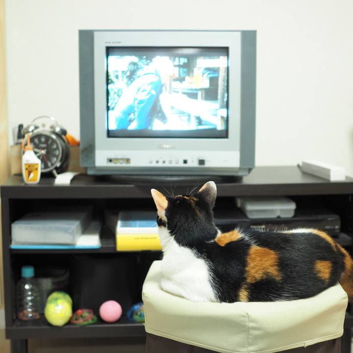 A8342335 6069 4081 9ae2 f81f23522006