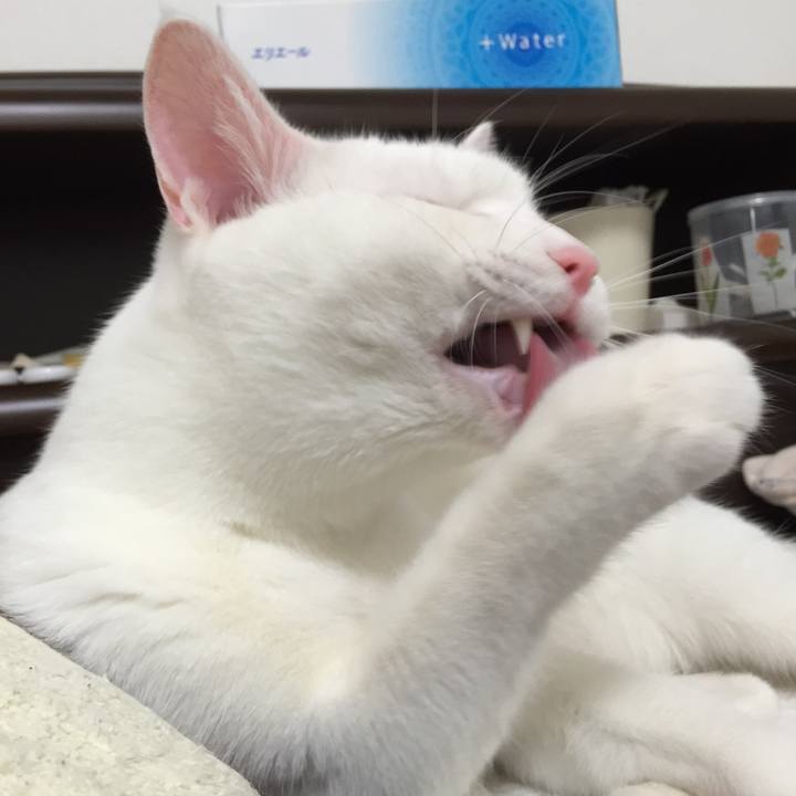 A8345672 df21 476d a1c1 85f724e17494