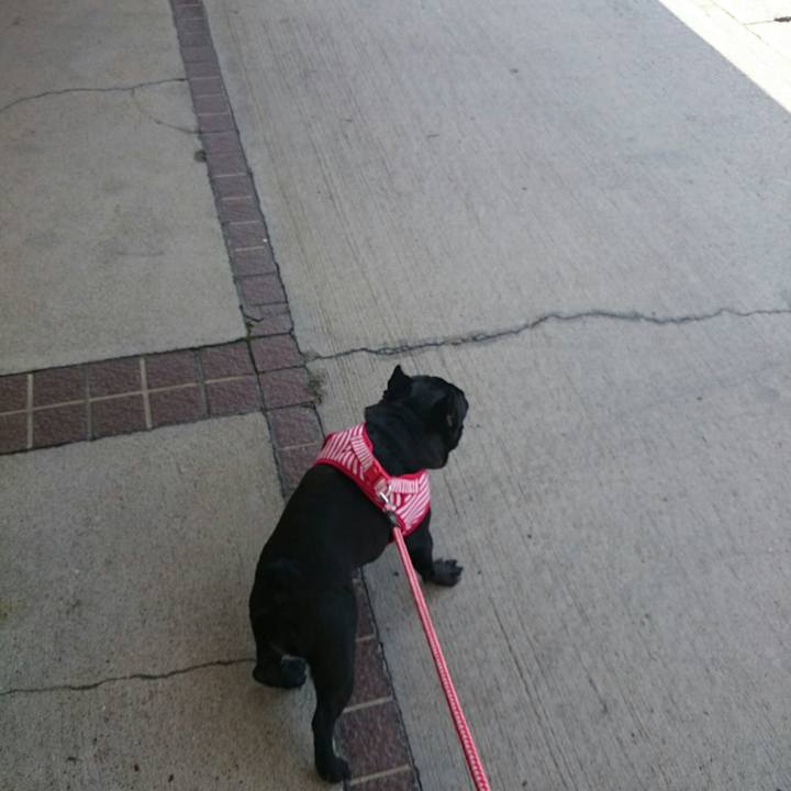 A834f937 58e3 45cf a3bf 89817b7982c7