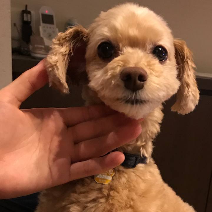 A83646ac 24cd 4a5c bfae 7dfe41e1f802