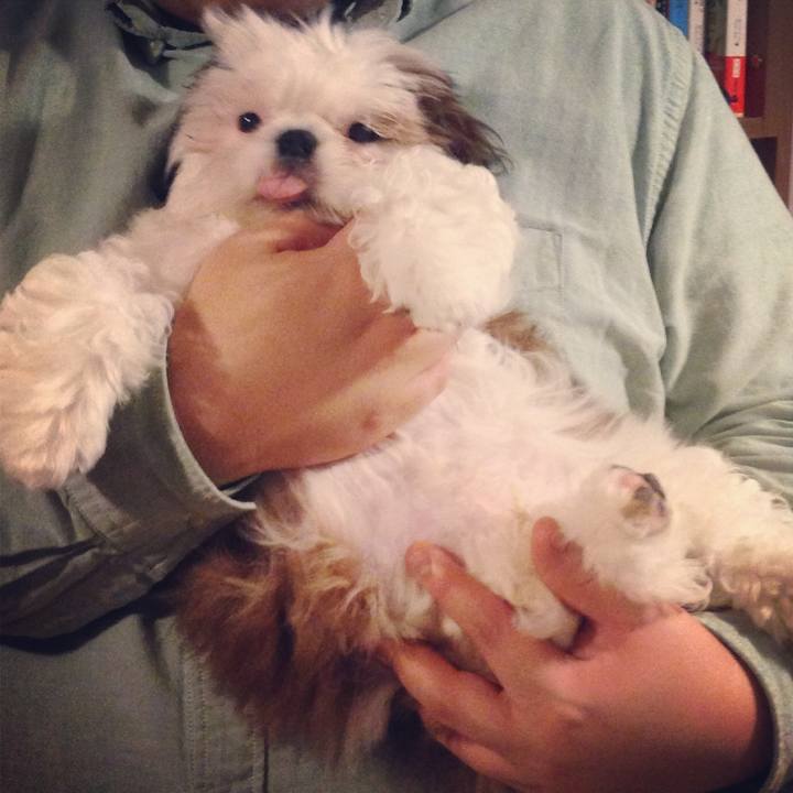 A83703db 55f6 49a1 9daa 5677e0f21c27