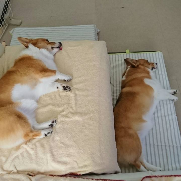 A83736ee 1837 44fe 99bc 1086b6ea5ac1