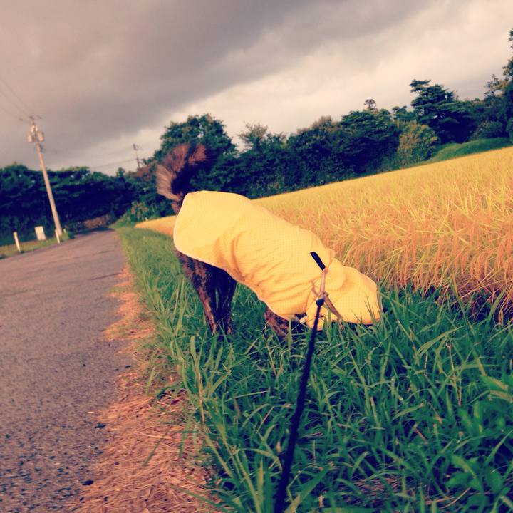 A8374082 881f 479f a7d5 d63e9197ead4