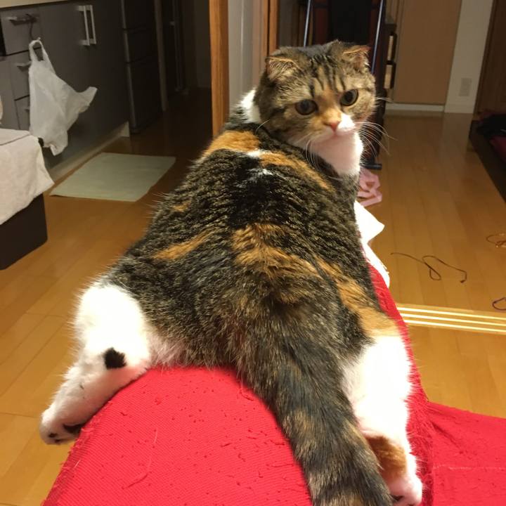 A8379d36 ffb3 4357 ab27 fbd9ba700e43