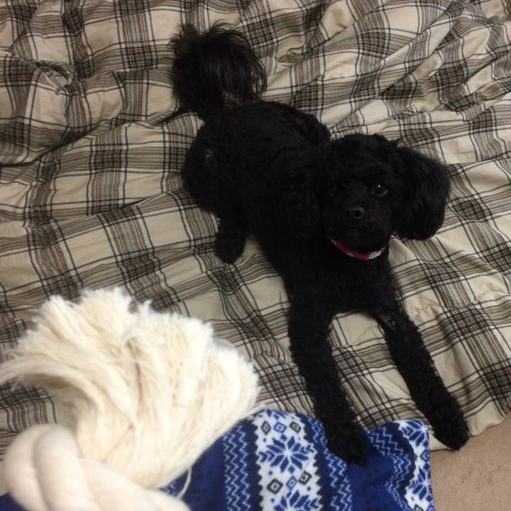 A838476d 36f6 4bbe bb24 d8c2d921abaf