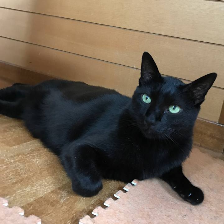 A838ada5 dfea 4378 be19 65feb52724f5