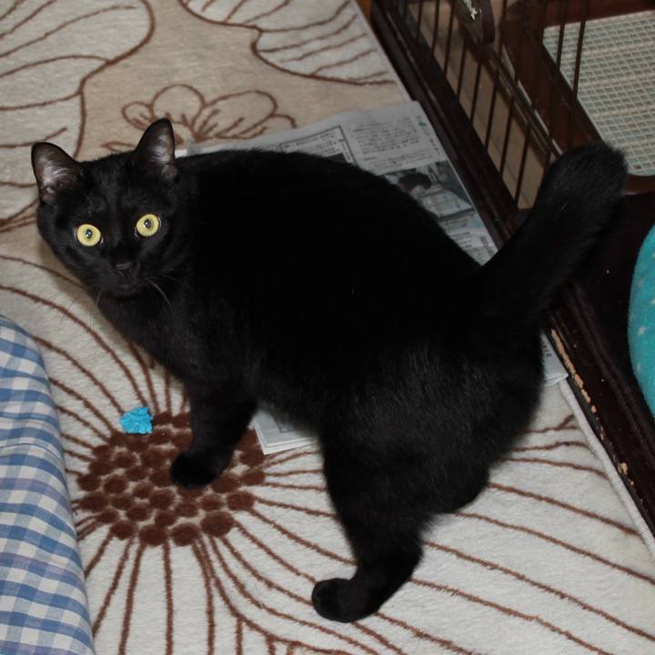 A838bdb7 6905 4ddf 9d07 c57218f09be2