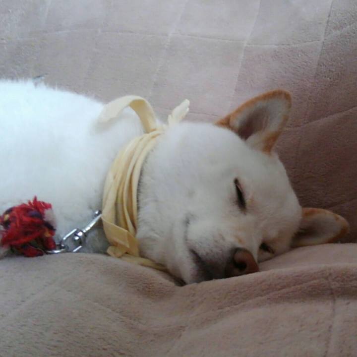 A838dc9e 7d1a 480a 8530 8480b7d2ec2c