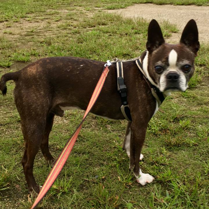 A8395e9f 8873 4854 8e94 298315fc100a