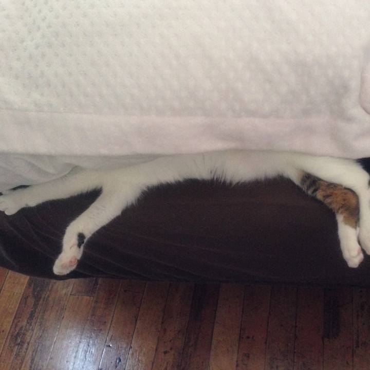 A83a1e21 2012 4409 80a2 7ddcc6f7eee4